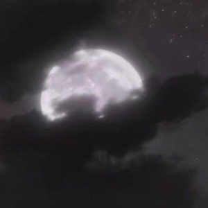 成人黄色在线视频
